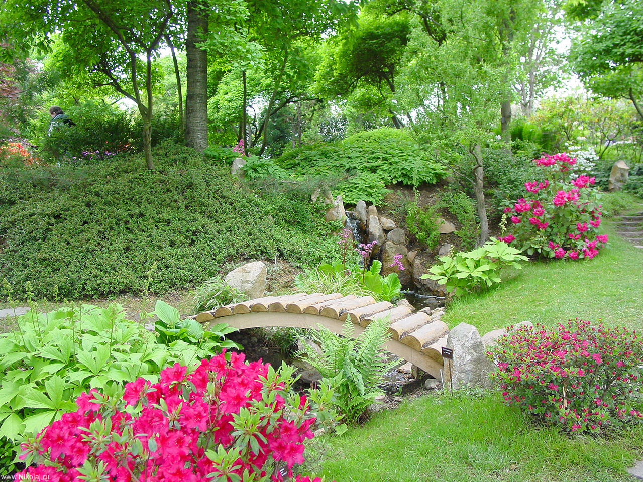 Фото Японский сад